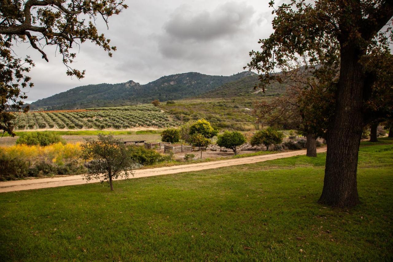 לינה וארוחת בוקר וולינגטון Ayama Wine Farm - Manor House מראה חיצוני תמונה